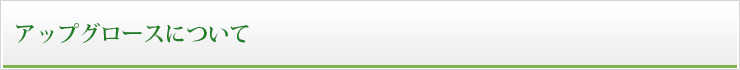 アップグロースについて